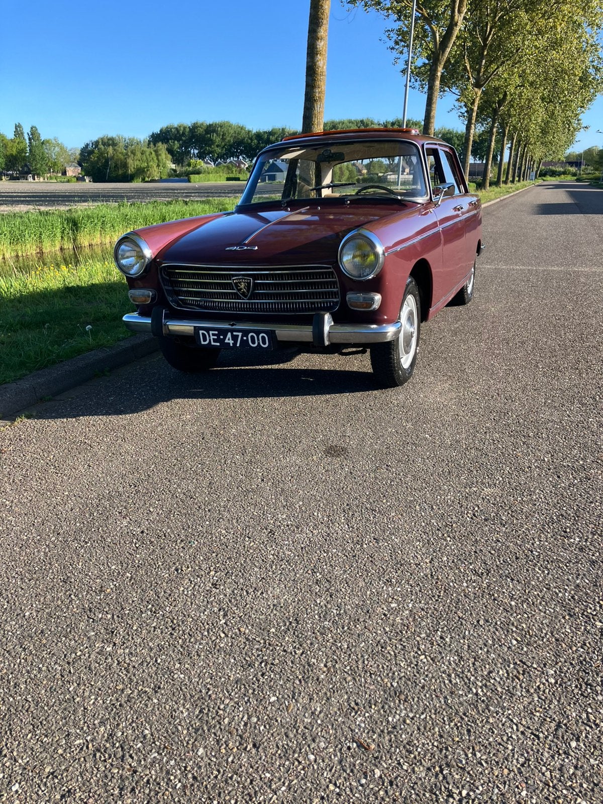 Peugeot 404 1.6 1967 Rood Oldtimer !!, Auto's, 4 cilinders, 1600 cc, Handgeschakeld, Grijs