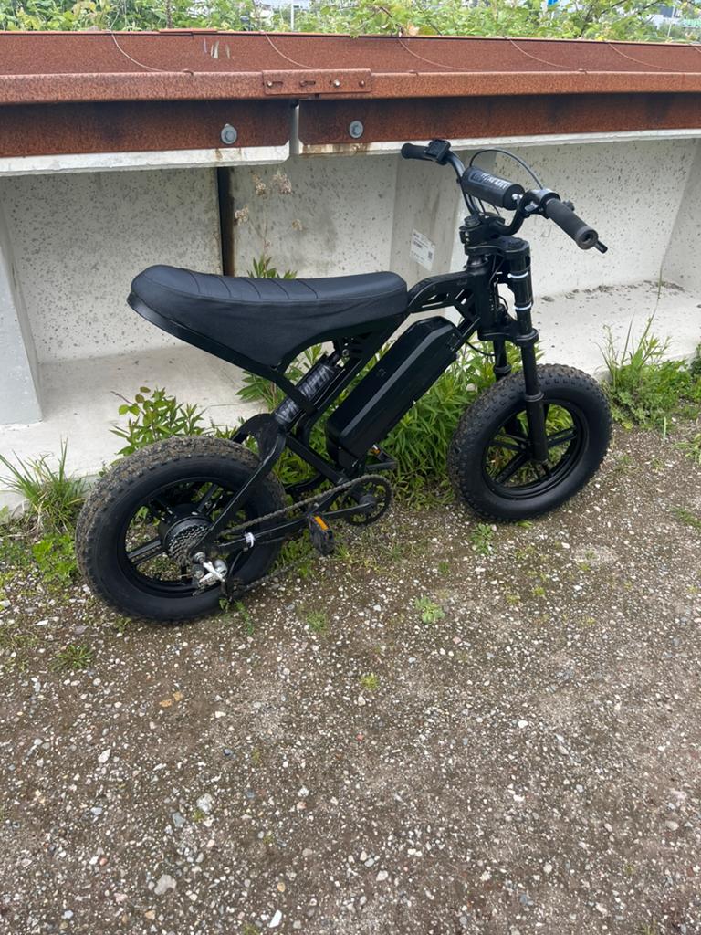 Costom fatbike, Fietsen en Brommers, Minibikes, Midibikes en Pitbikes, Ophalen, Overige typen