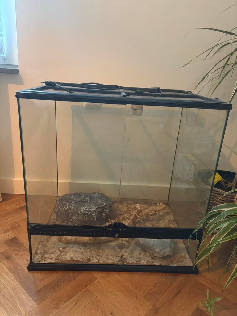 Terraria te koop, o.a. exo terra, Dieren en Toebehoren, Reptielen en Amfibieën | Toebehoren, Ophalen, Gebruikt, Terrarium of Paludarium