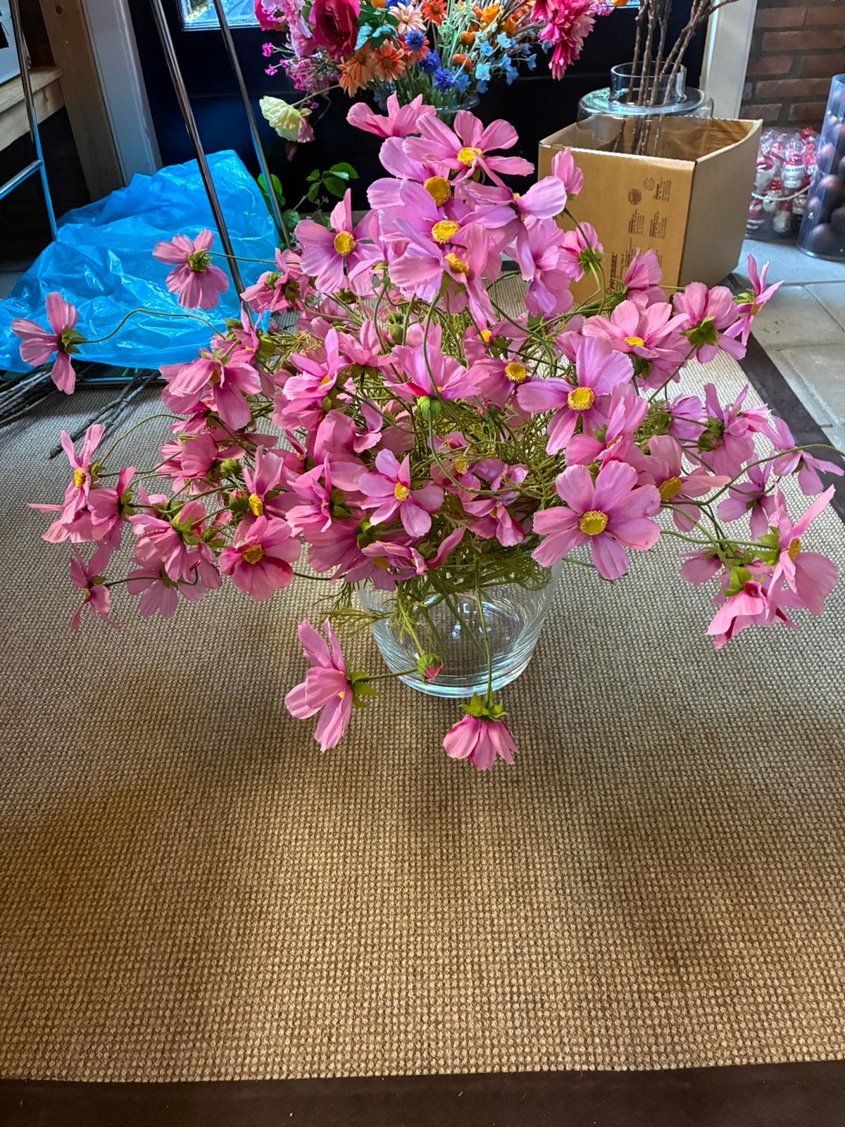 Bos  zacht roze cosmea, Ophalen, Zo goed als nieuw