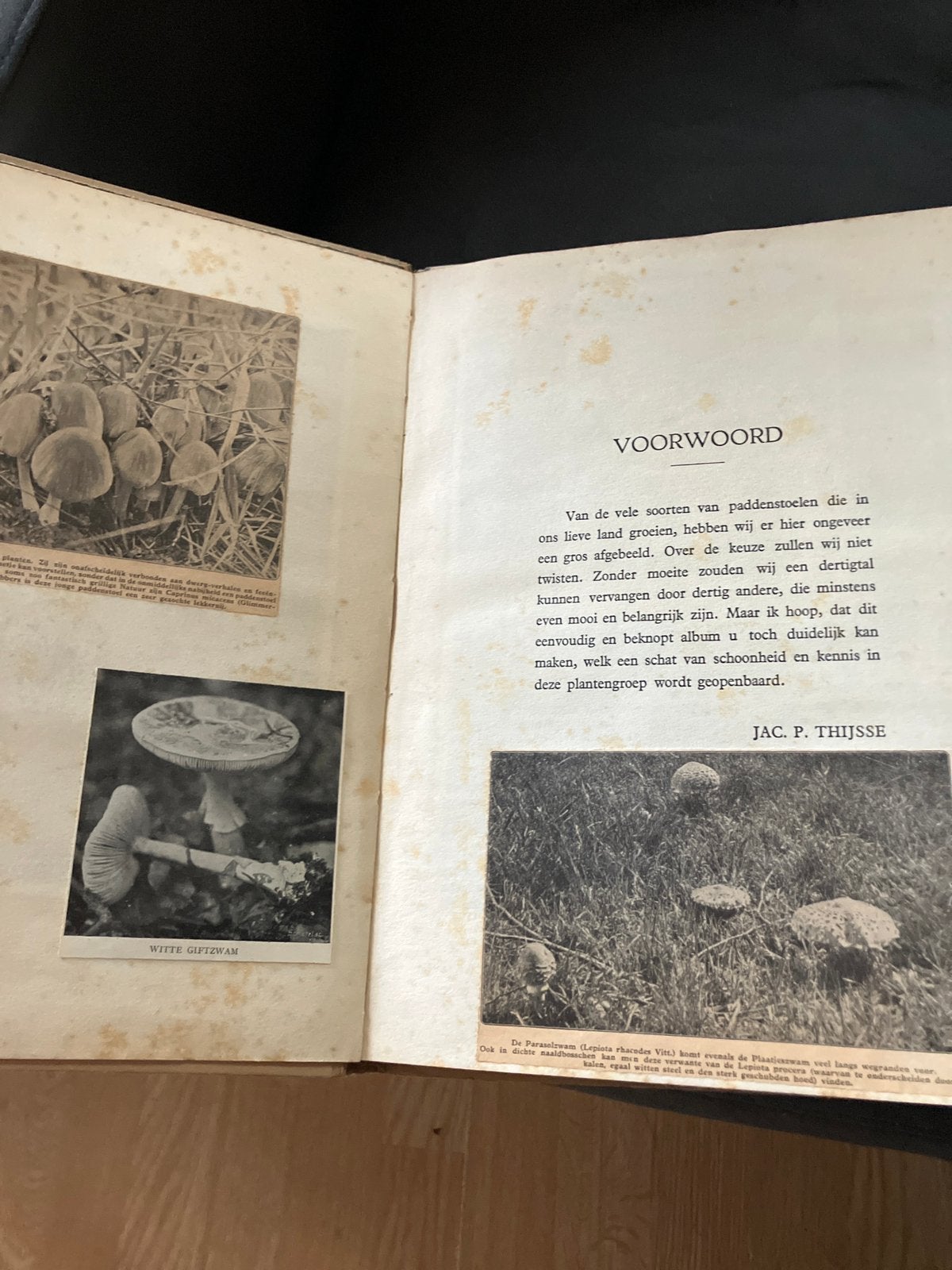 Verkade plaatjesalbums, origineel en herdruk, Ophalen of Verzenden, Gelezen