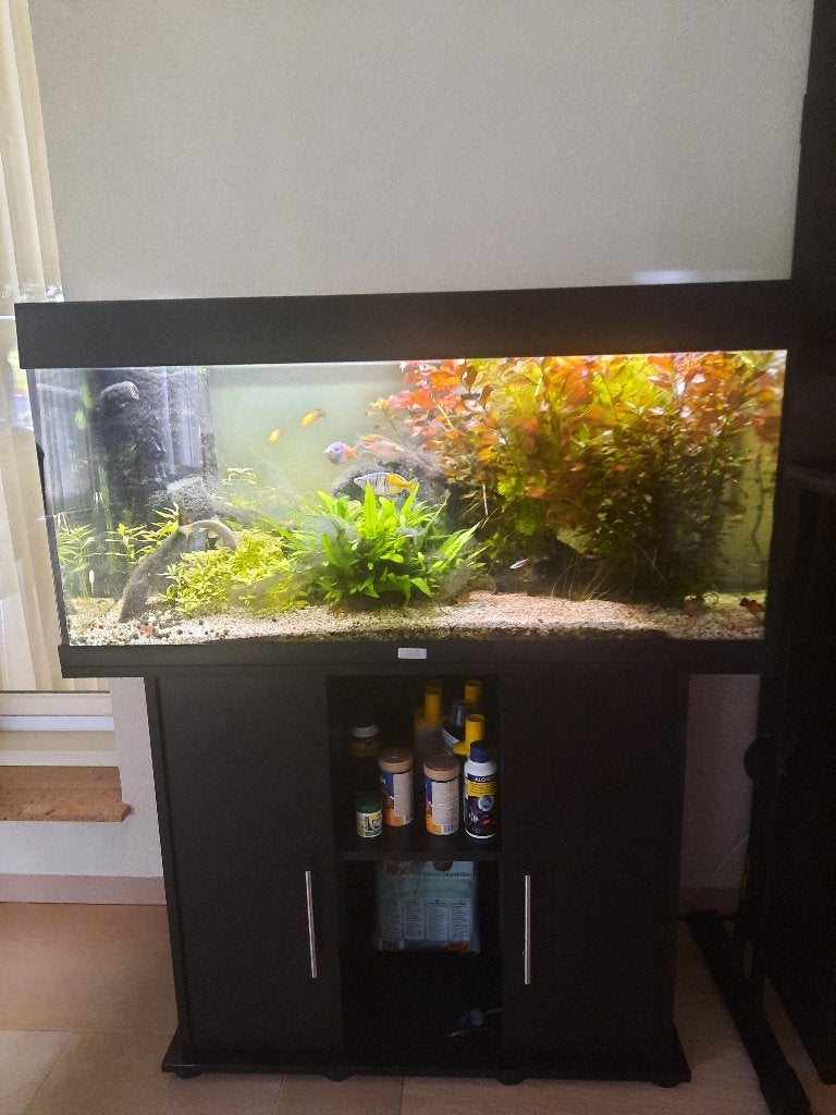 JUWEL Aquarium 180 liter inclusief kast ( P15 ), Ophalen, Gebruikt, Inclusief vissen, Gevuld zoetwateraquarium