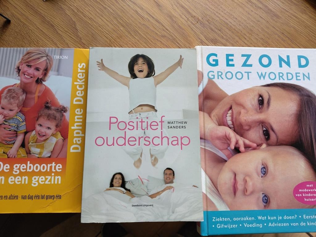 Boeken opvoeding, Ophalen of Verzenden, Zo goed als nieuw, Zwangerschap en Bevalling