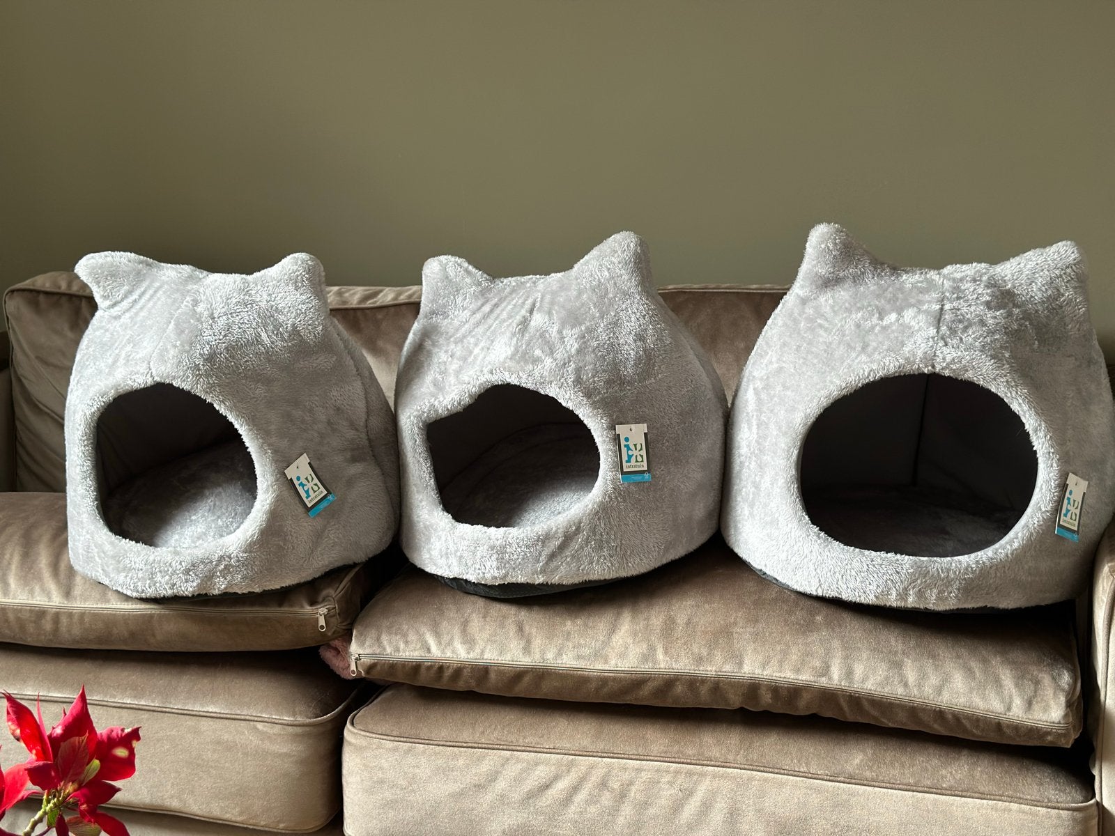 Kattenmanden 3 stuks, Dieren en Toebehoren, Ophalen, Nieuw