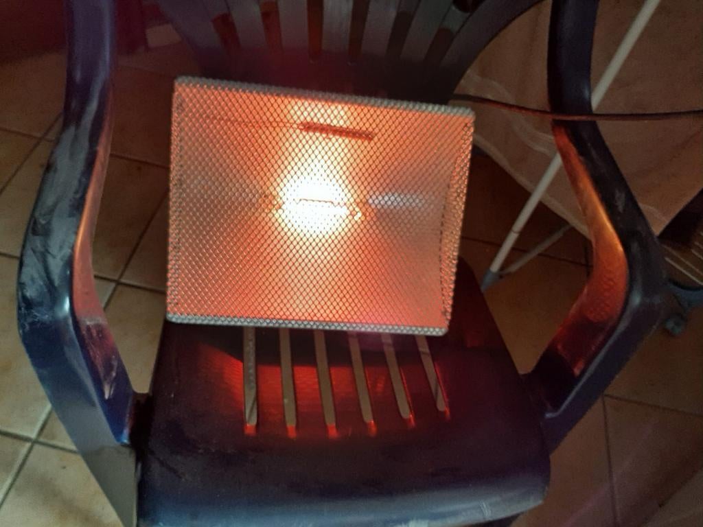 Warmte bron met thermostaat, Dieren en Toebehoren, Pluimvee | Toebehoren, Ophalen of Verzenden, Overige typen