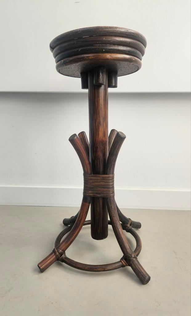 Vintage Plantentafeltje Thonet stijl, Ophalen of Verzenden, Halfschaduw, Minder dan 100 cm