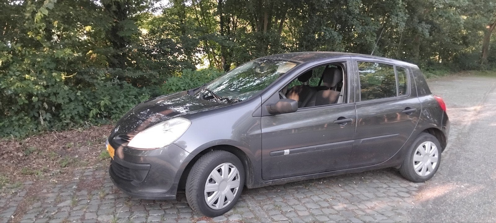 Renault Clio 1.2 16V 55KW 5-DRS E4 2008 Grijs, Voorwielaandrijving, 74 pk, Zwart, 4 cilinders