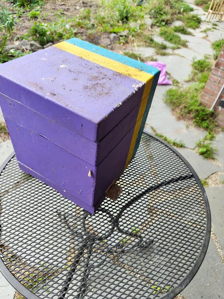 Miniplus voor twee volken, Dieren en Toebehoren, Insecten en Spinnen, Bijen
