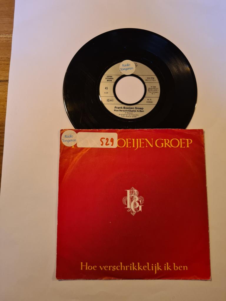 Frank Boeijen groep - Hoe verschrikkelijk ik ben, Cd's en Dvd's, Ophalen of Verzenden, Zo goed als nieuw, 7 inch, Levenslied of Smartlap