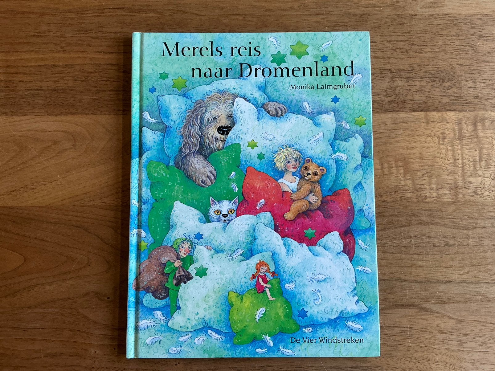 Merel’s reis naar dromenland - Vier Windstreken prentenboek, Ophalen of Verzenden, Zo goed als nieuw