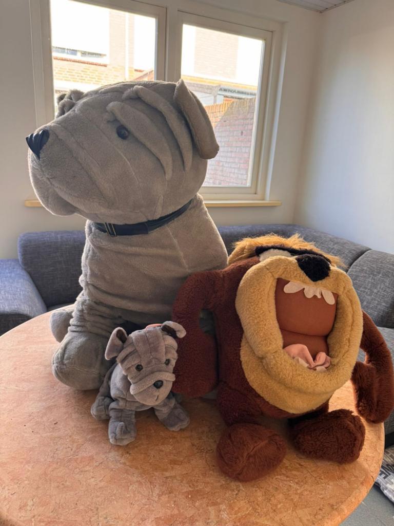 Grote knuffelhond Shar-Pei - 70 cm hoog, Ophalen, Gebruikt, Grijs, Hond