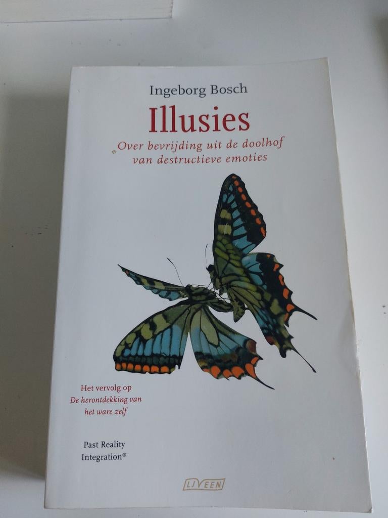 Ingeborg Bosch - Illusies: Over bevrijding uit de doolhof, Ophalen of Verzenden, Gelezen, Ingeborg Bosch, Nederland