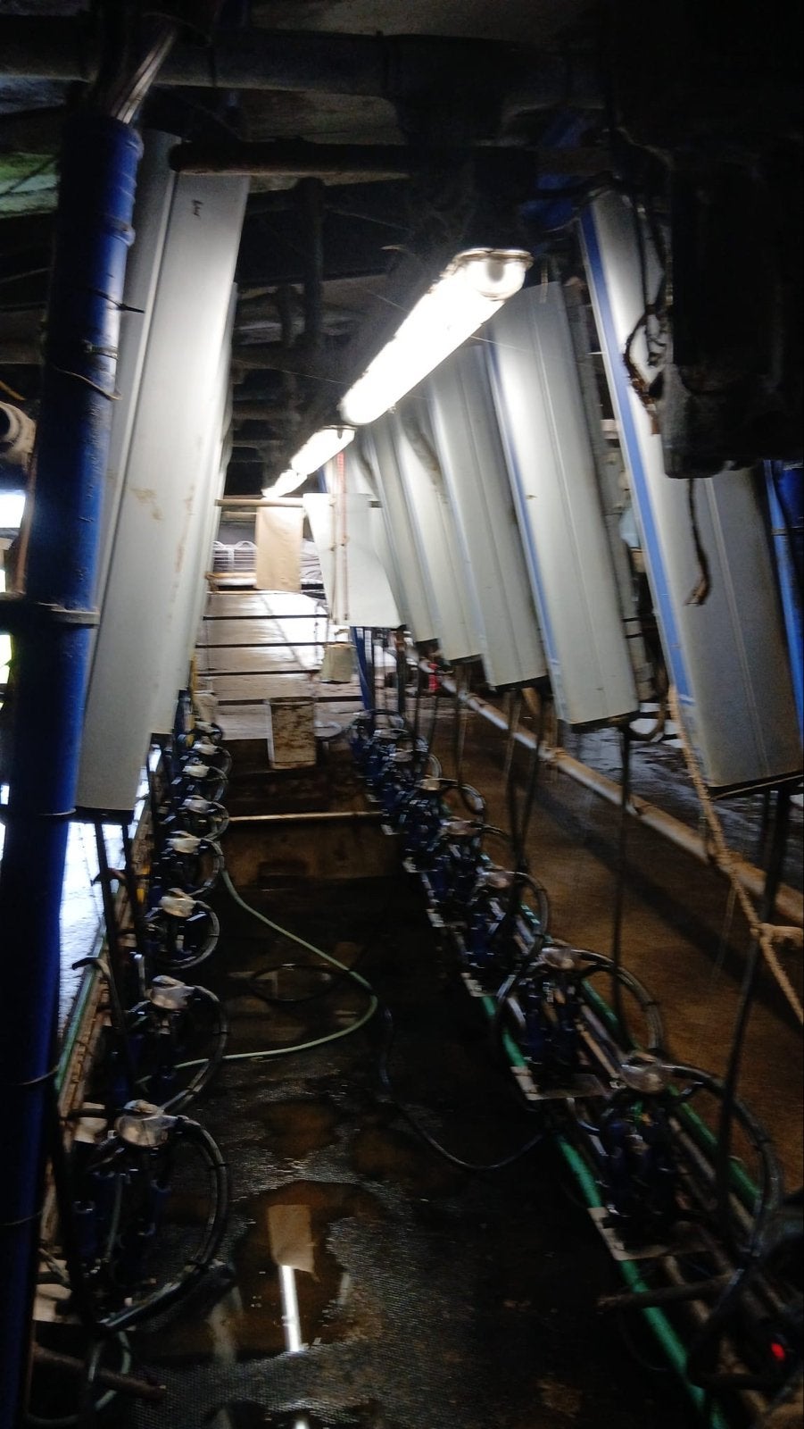 Complete Melkerij 2x8 - DeLaval MP400 Automatisering melkstL