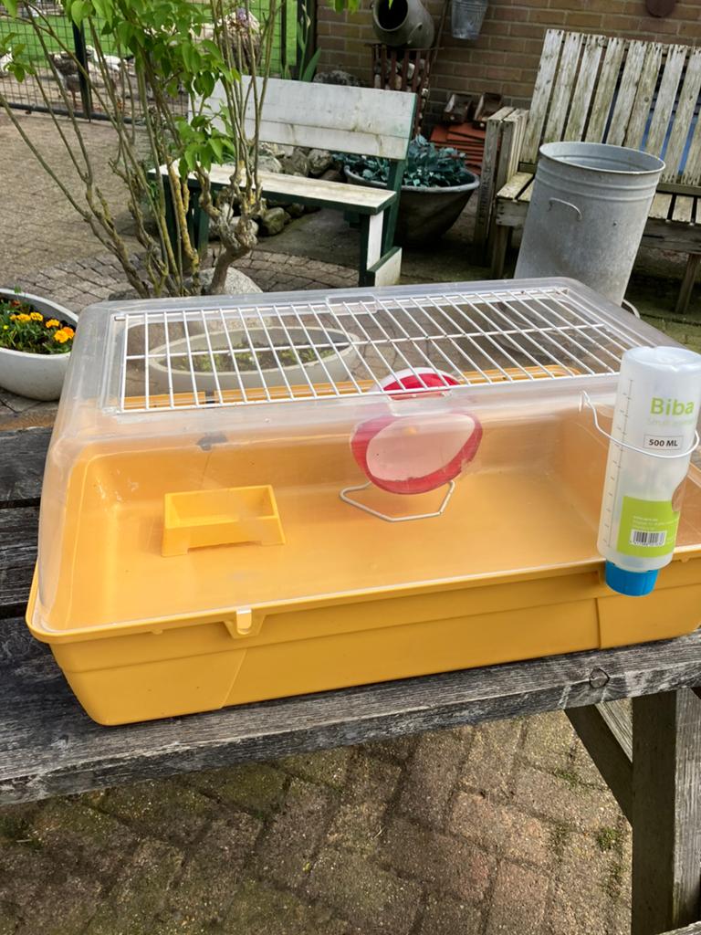 cavia bak rody met drinkfles,eetbakje,draairat,70cm lang., Kooi, Gebruikt, Minder dan 75 cm, Cavia