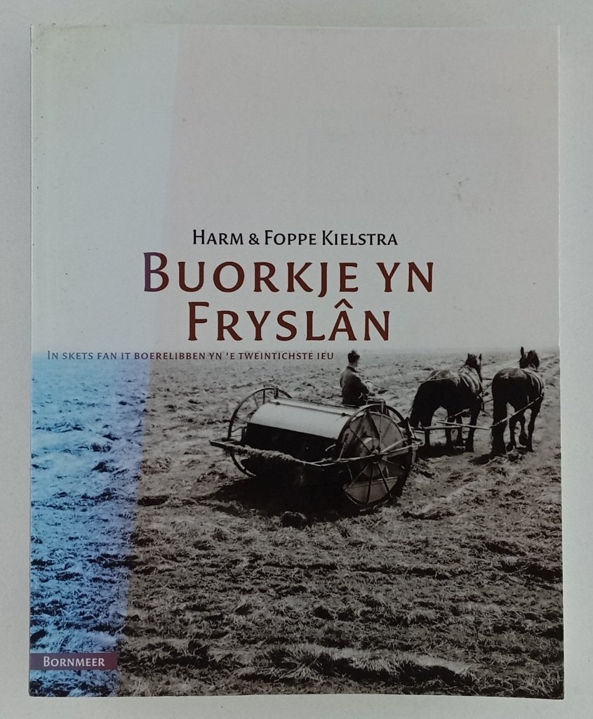 Kielstra, Harm & Foppe - Buorkje yn Fryslân / in skets fan, Ophalen of Verzenden, Gelezen