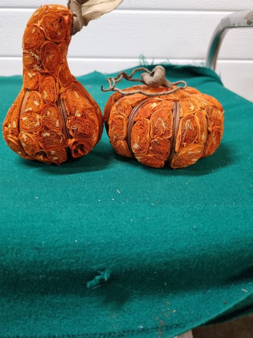 kalebassen kunst twee stuks, Ophalen of Verzenden, 'T Olde Gre-j, Info@toldegrej.nl, Endepoelstraat 20f Didam