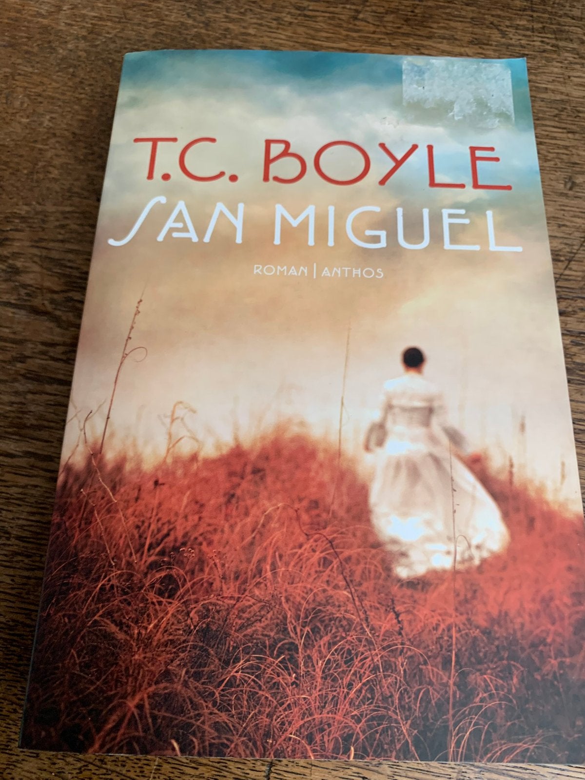 T.C. Boyle: San Miguel, Ophalen of Verzenden, Zo goed als nieuw