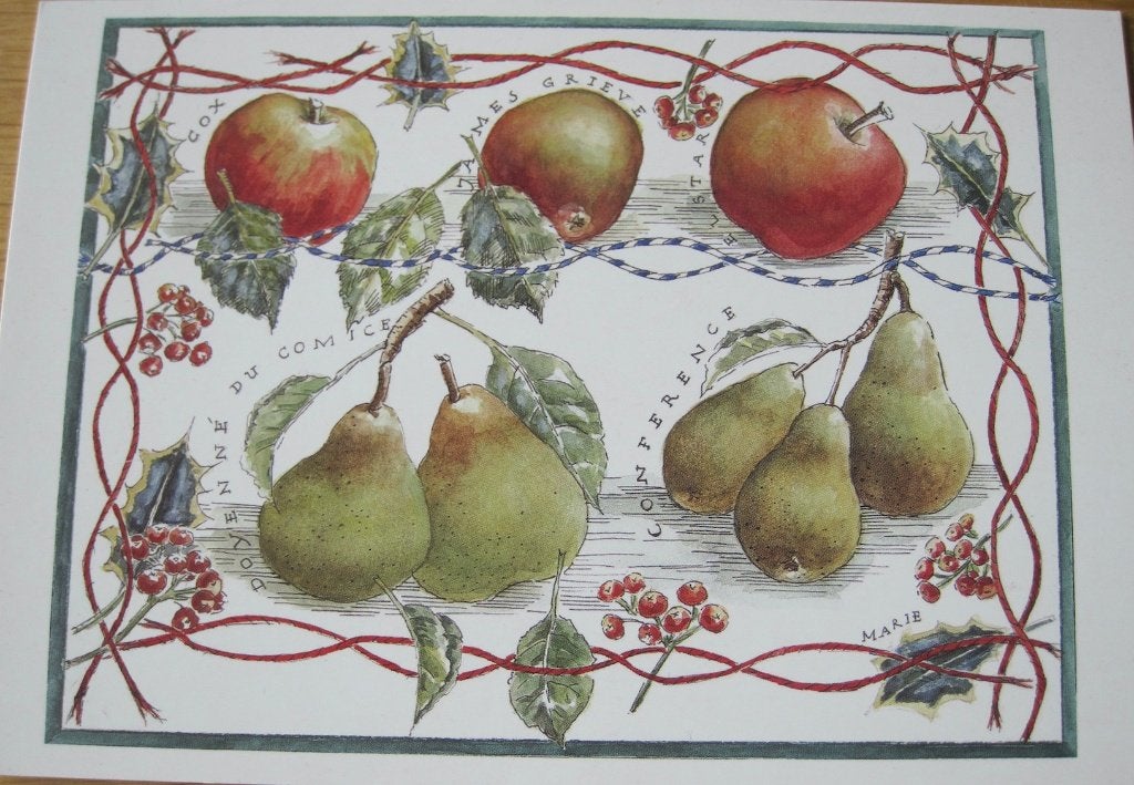 Voor het kind - appels en peren - code 9020, Verzamelen, Verzenden, 1980 tot heden, Gelopen, Overige thema's