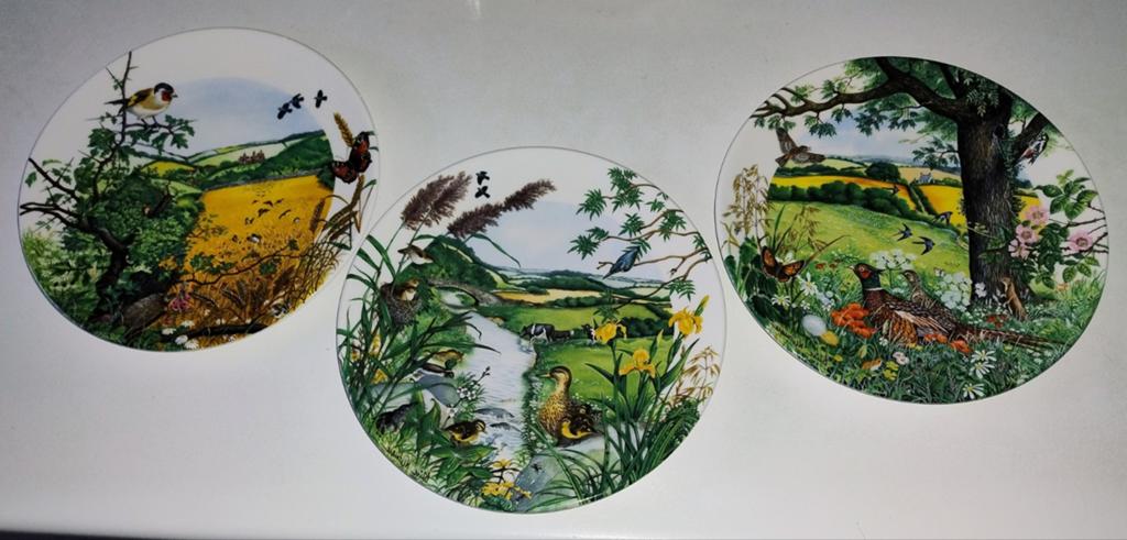 Wedgwood Colin Newman Country Panorama Borden Set, Ophalen of Verzenden