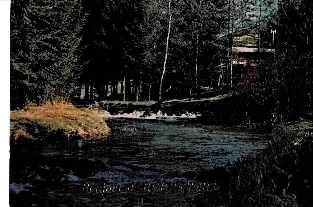 Oude ansichtkaart van Rochefort, België - Rivier en bos, Verzamelen, Verzenden, 1960 tot 1980, Gelopen, België en Luxemburg