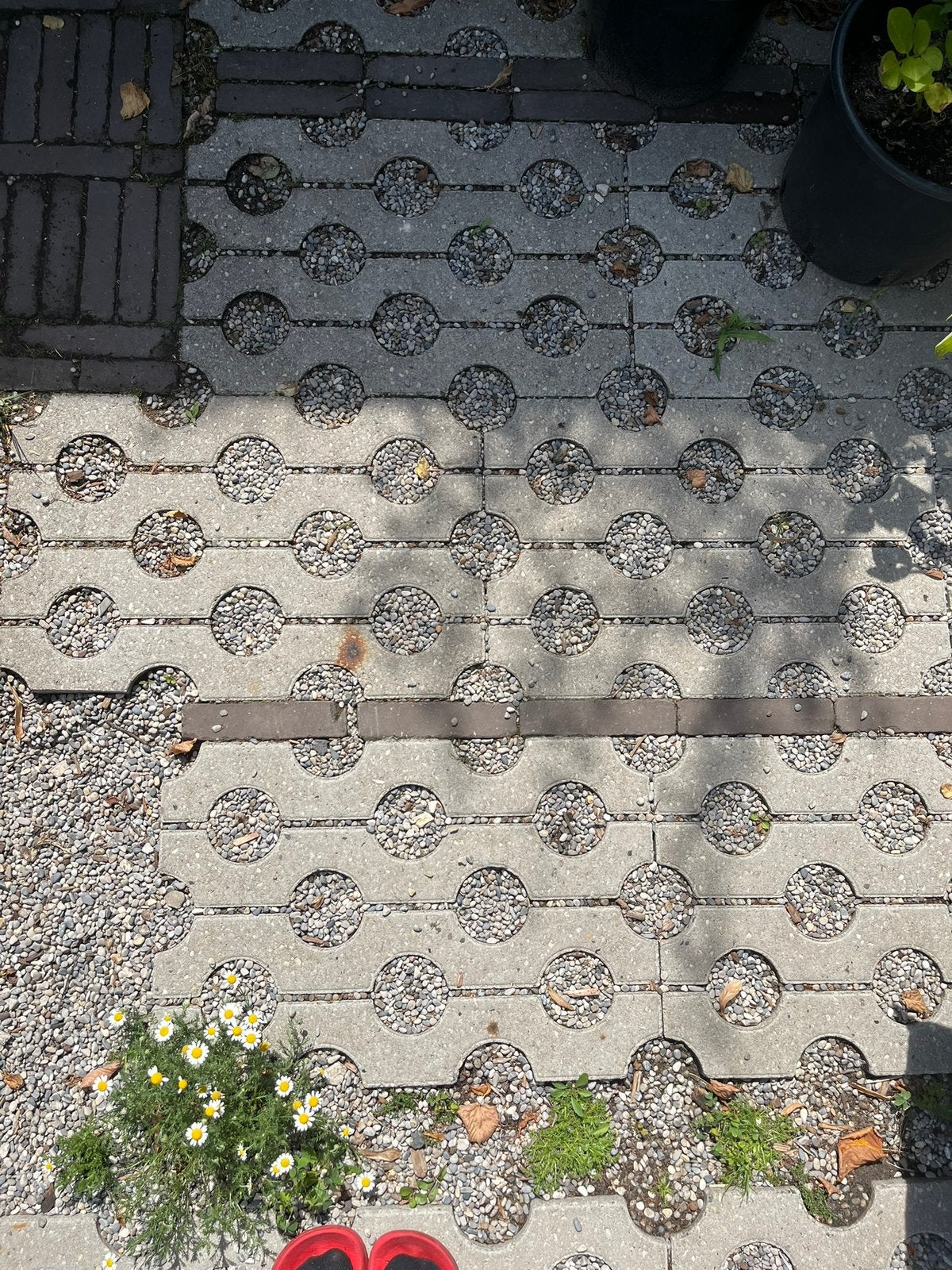 Grasbetontegels, Tuin en Terras, Tegels en Klinkers, Ophalen, 5 tot 10 m², Zo goed als nieuw, Beton