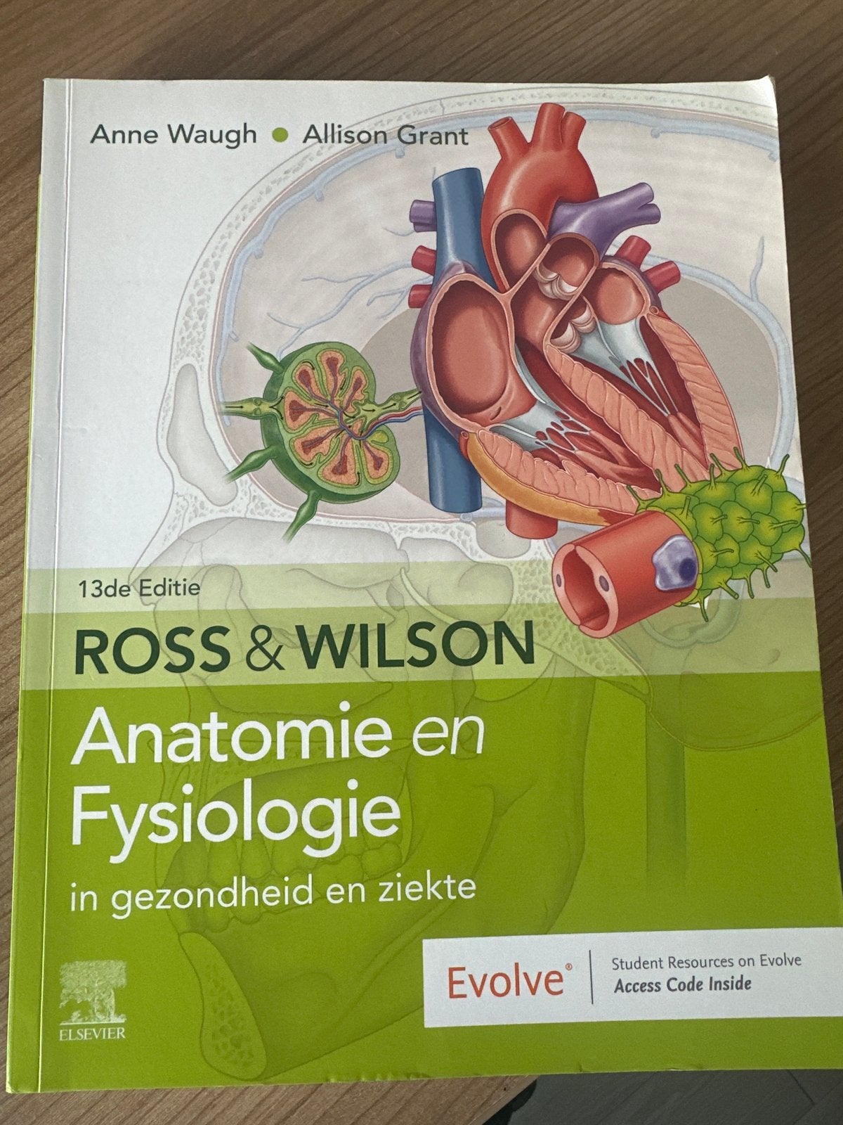 Ross & Wilson Anatomie en Fysiologie 13e editie, Boeken, Ophalen of Verzenden, Beta, Zo goed als nieuw, HBO