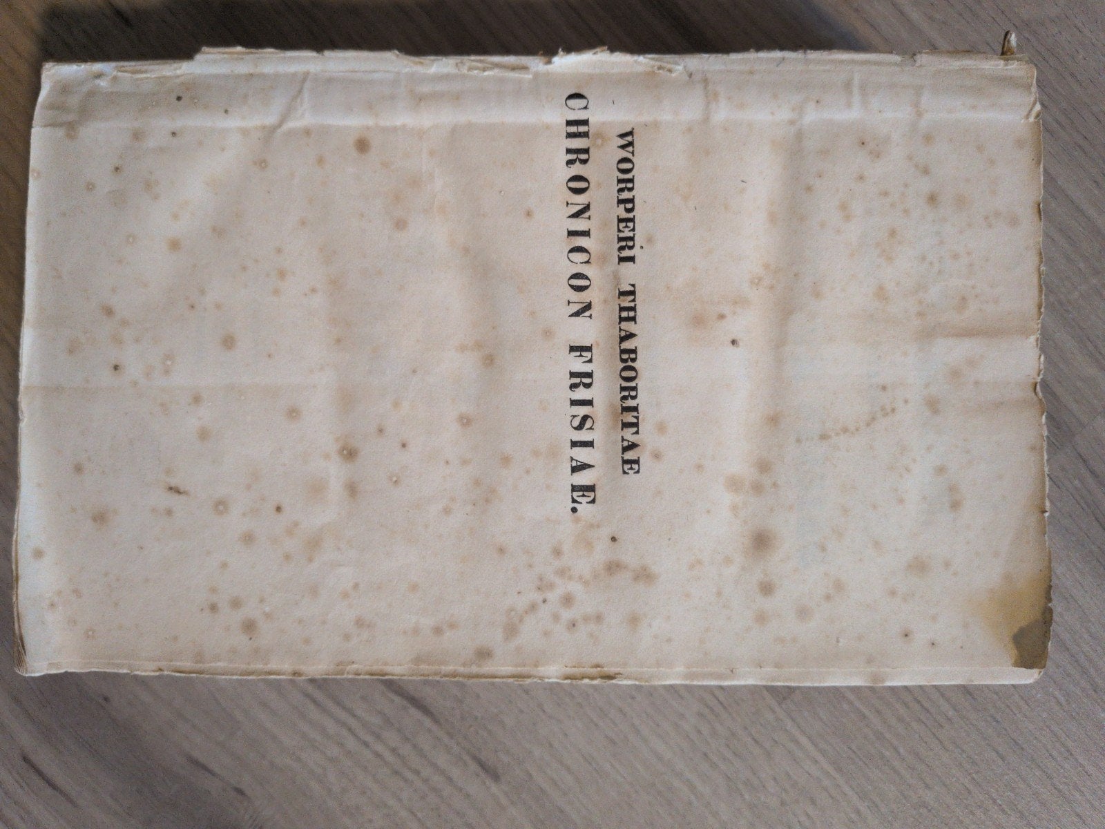Worp van Thabor, Kronijk van Friesland - 19e Eeuw, Ophalen of Verzenden, 19e eeuw, Gelezen, Worp van Thabor