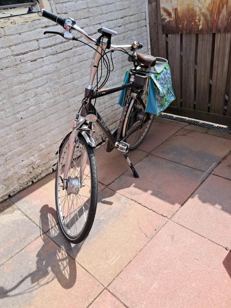 RIH Omega Elektrische Fiets - Comfortabel en Betrouwbaar, Ophalen, Gebruikt, Overige merken