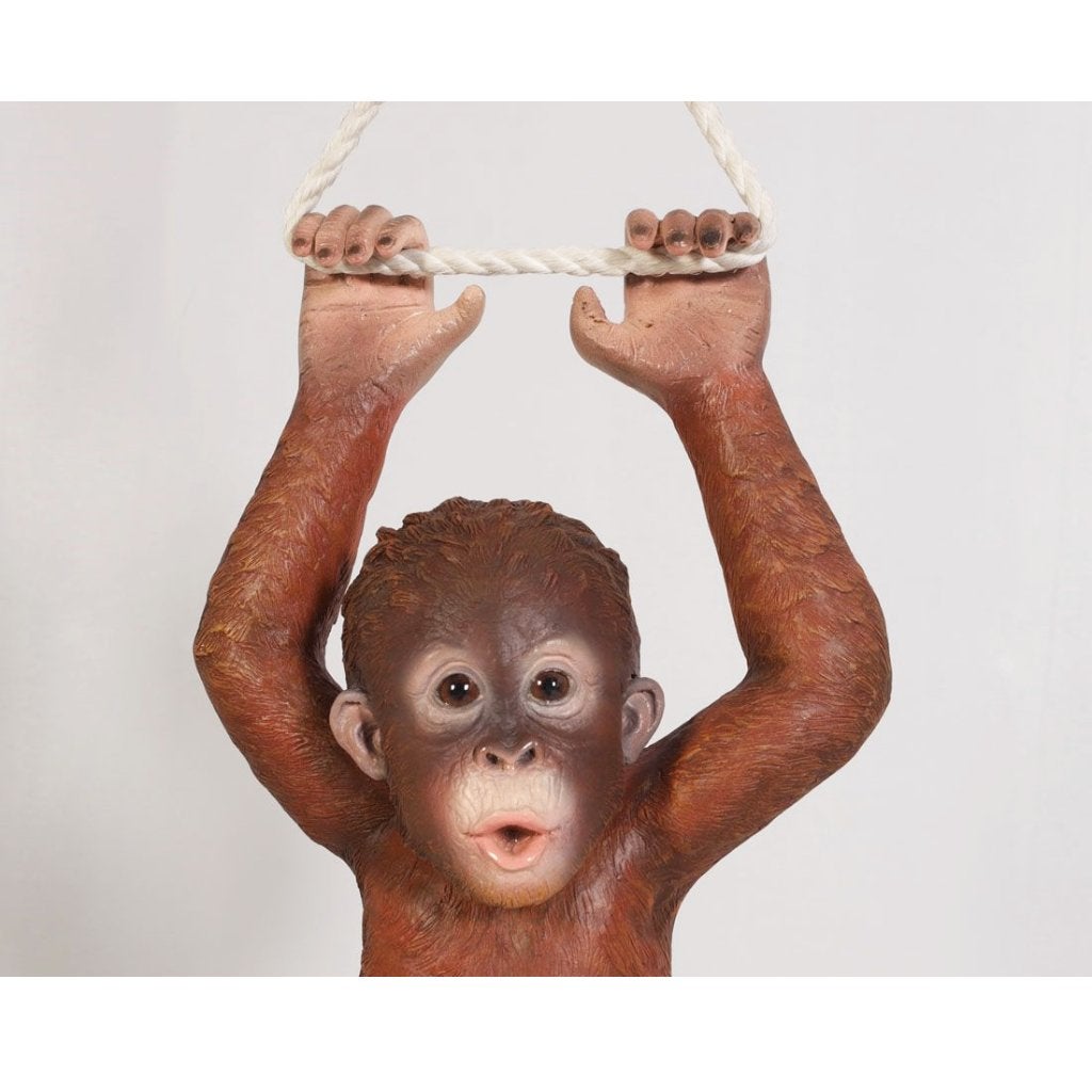 Hanging Baby Oranutan – Orang Oetan beeld Lengte 75 cm, Ophalen, Nieuw, Overige typen
