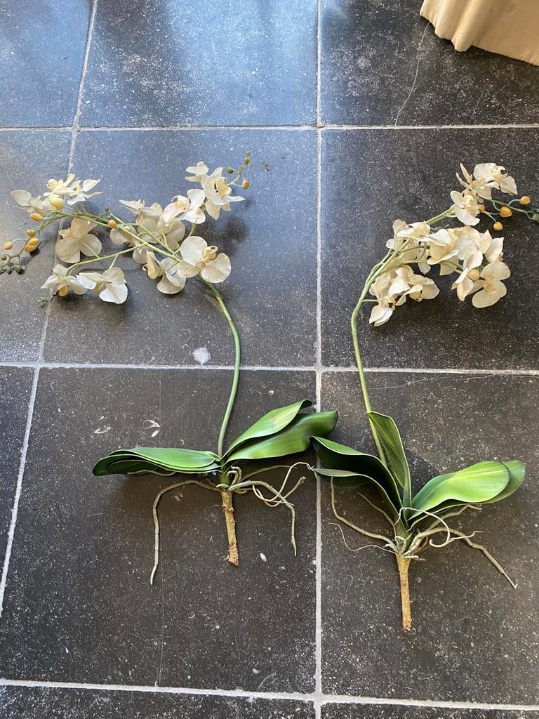 2 x tak kunstorchidee, Ophalen of Verzenden, Gebruikt, Binnen