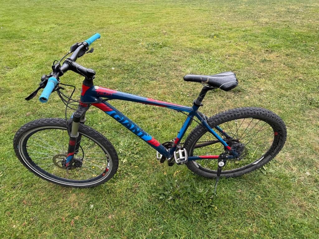 Giant mountainbike, Ophalen, Gebruikt, Giant