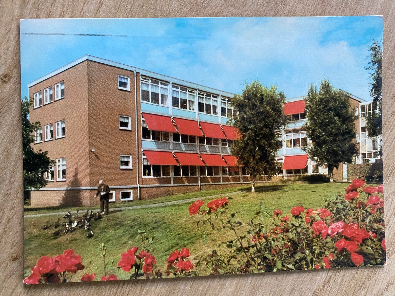 Ansichtkaarten Sappemeer Huize Jozef, Verzamelen, Ansichtkaarten | Nederland, Ophalen of Verzenden, Voor 1920, Gelderland