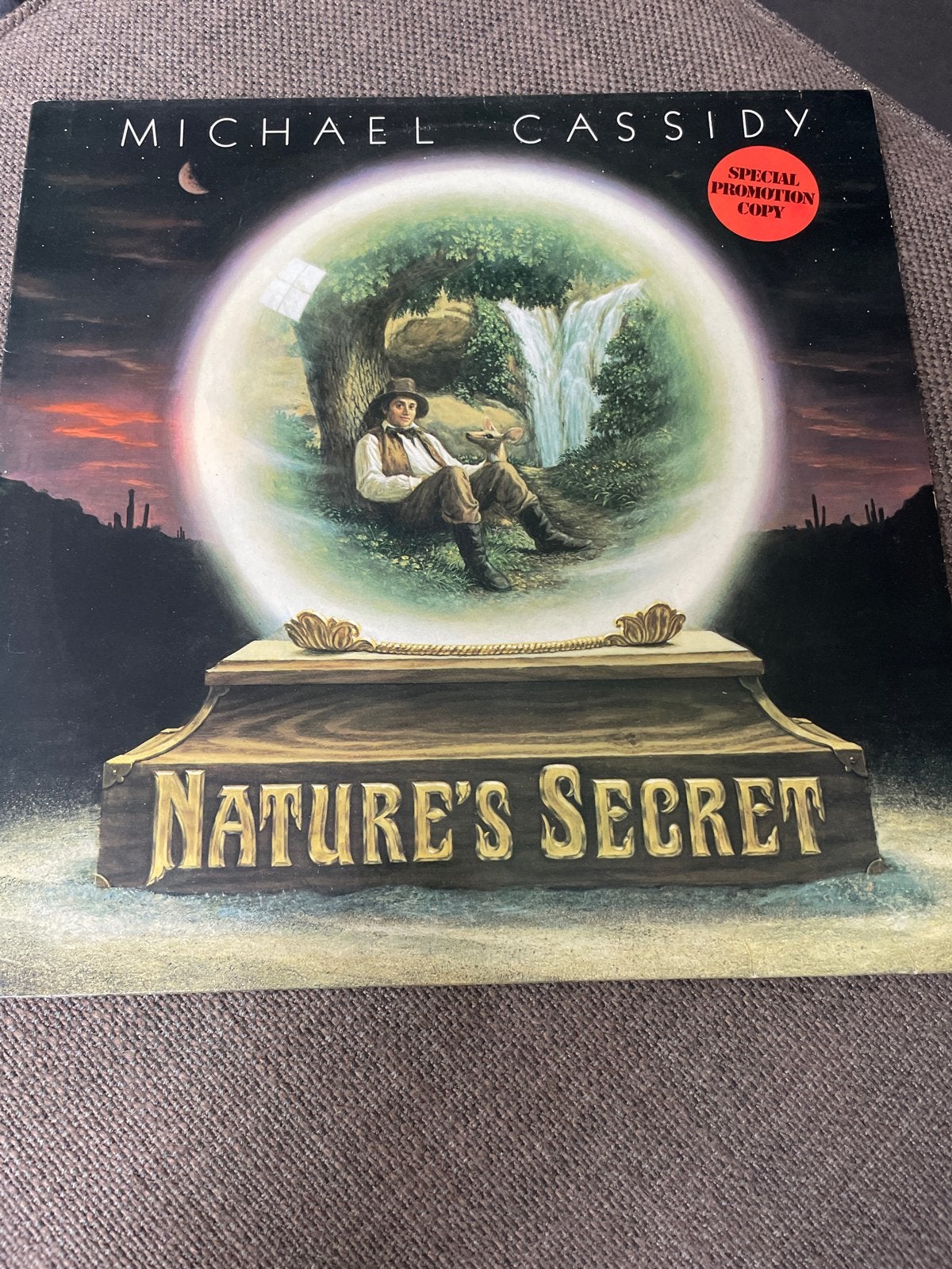 Michael Cassidy - Nature's Secret (Special Promotion Copy), Ophalen of Verzenden, Zo goed als nieuw, Album, Promo