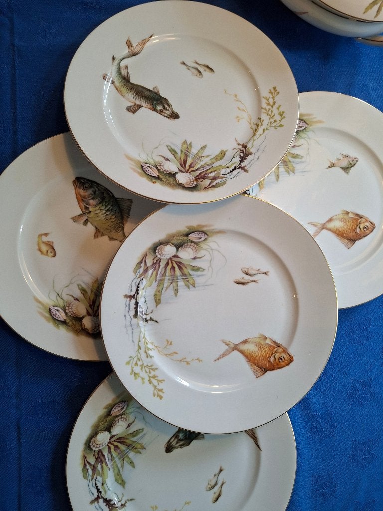 Rosenthal visservies, Ophalen