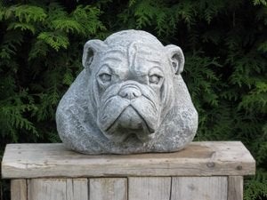 Buldog borstbeeld, Tuin en Terras, Ophalen, Nieuw, Beton, Dierenbeeld