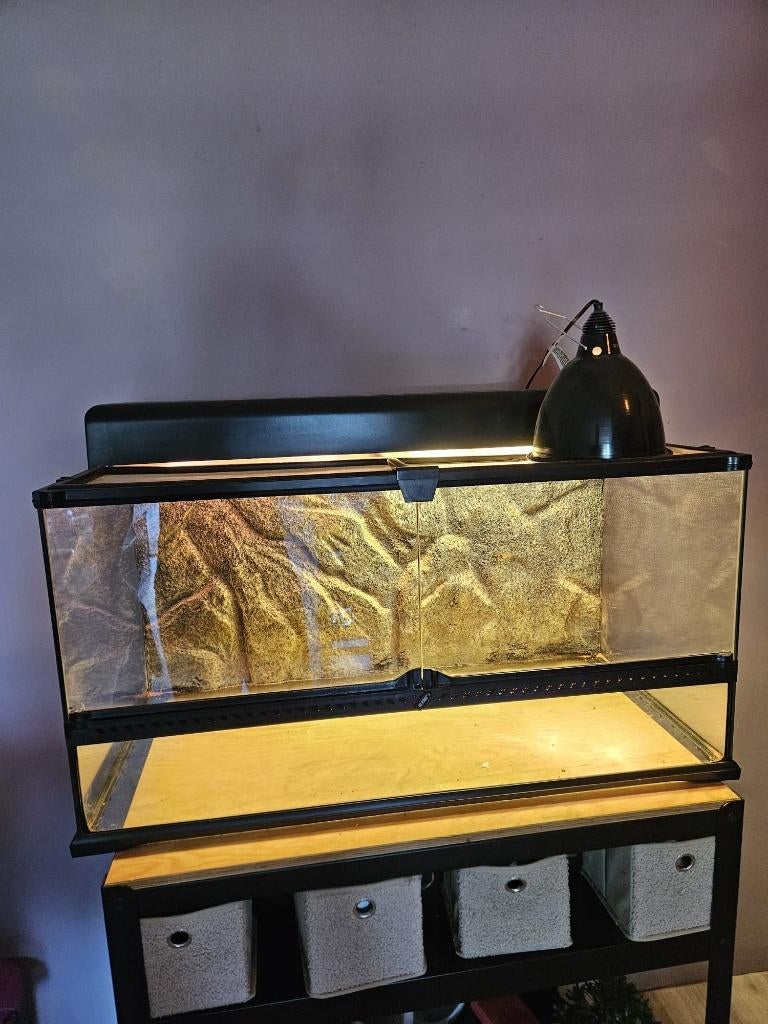 Exo Terra terrarium + originele kap (1 jaar oud), Ophalen, Zo goed als nieuw, Terrarium of Paludarium