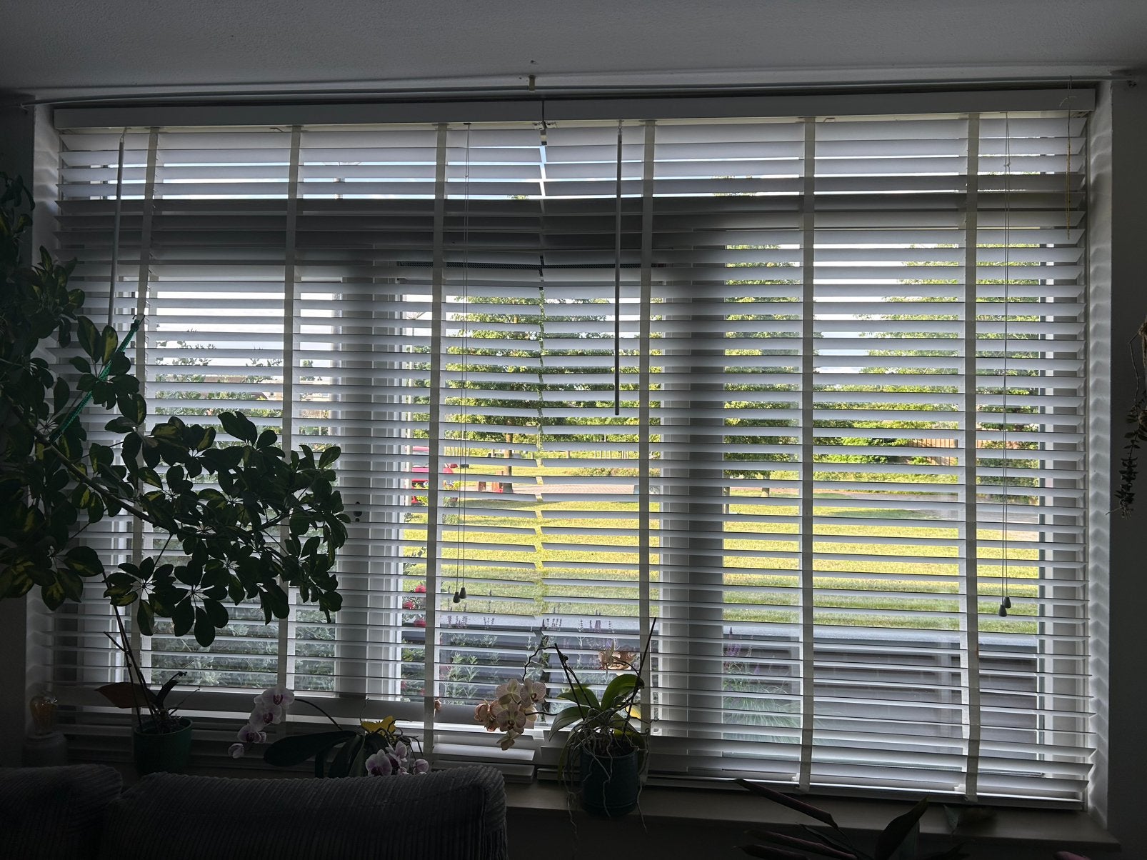 Witte houten jaloezieen, Ophalen, Zo goed als nieuw, 50 tot 100 cm, Minder dan 100 cm