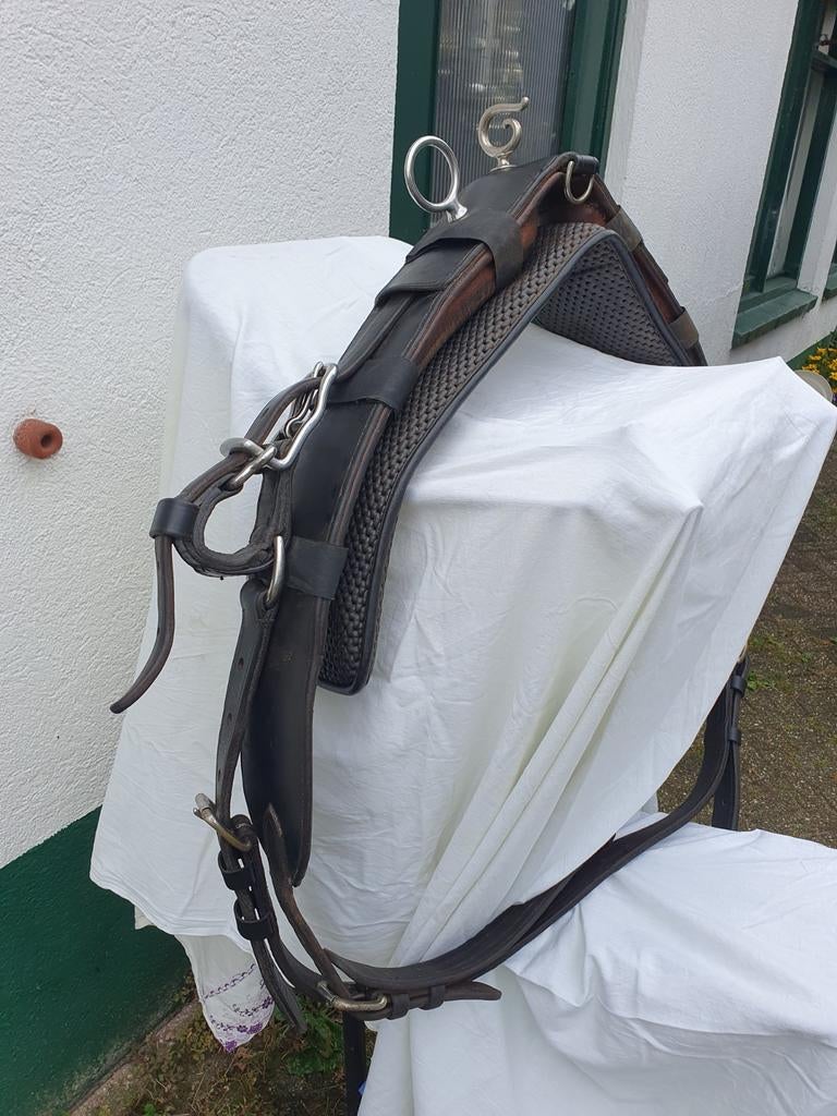 Sterk goed onderhouden  enkelspan BORST tuig LEER.  COB, Dieren en Toebehoren, Paarden en Pony's | Hoofdstellen en Tuigage, Ophalen of Verzenden