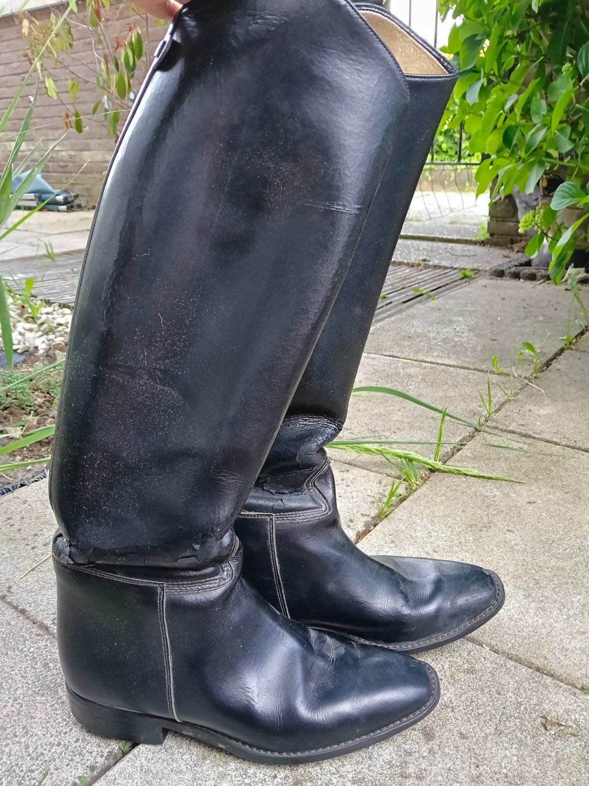 Paardrijlaarzen, Dieren en Toebehoren, Paardrijkleding, Ophalen, Gebruikt, Dressuur, Schoeisel