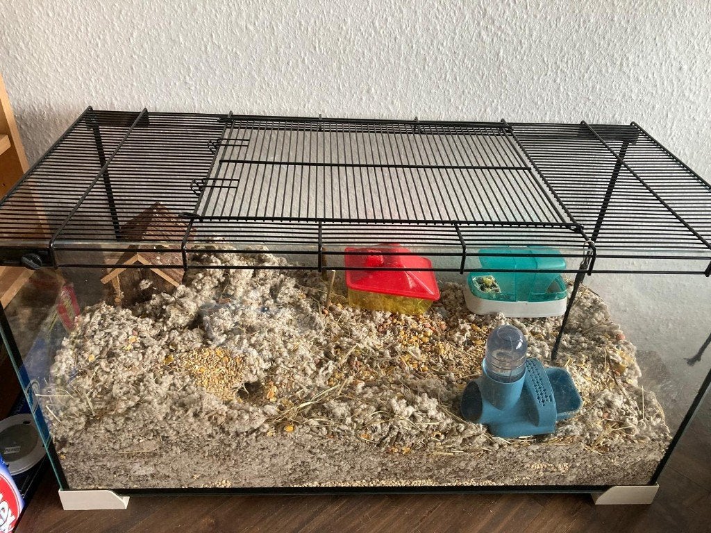 Terrarium voor hamster/chinchilla/gerbil/degoe, incl.toebeh., Gebruikt, Muis, Minder dan 75 cm, Hok