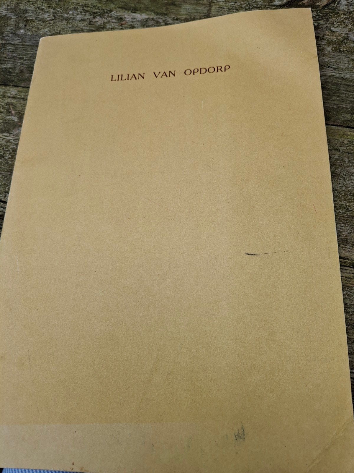 Lilian van Opdorp - Tentoonstellingscatalogus 1993, Ophalen of Verzenden, Zo goed als nieuw, Overige onderwerpen, Lilian van Opdorp