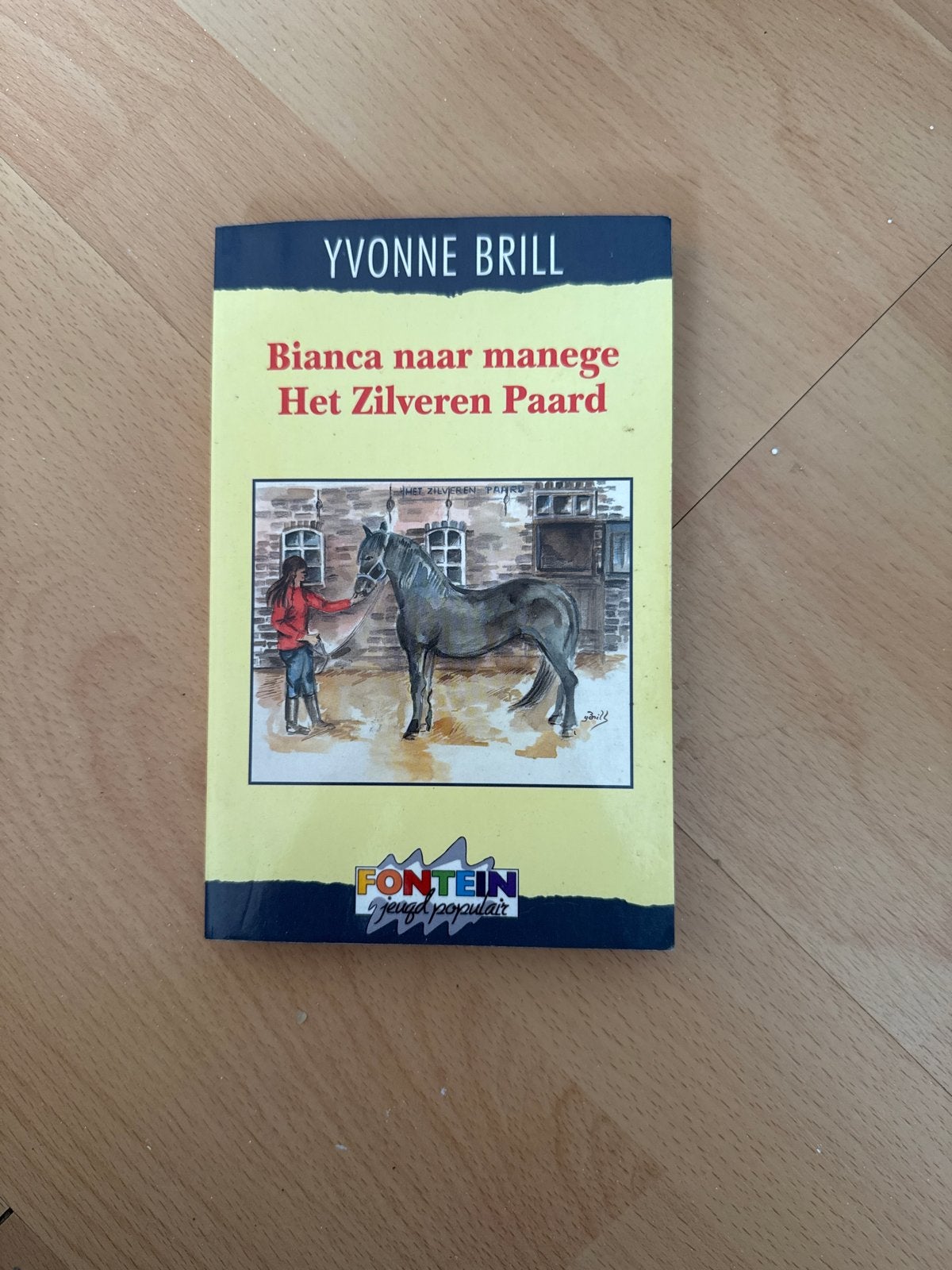 Bianca naar manege Het Zilveren Paard - Yvonne Brill, Boeken, Ophalen of Verzenden, Gelezen, Fictie
