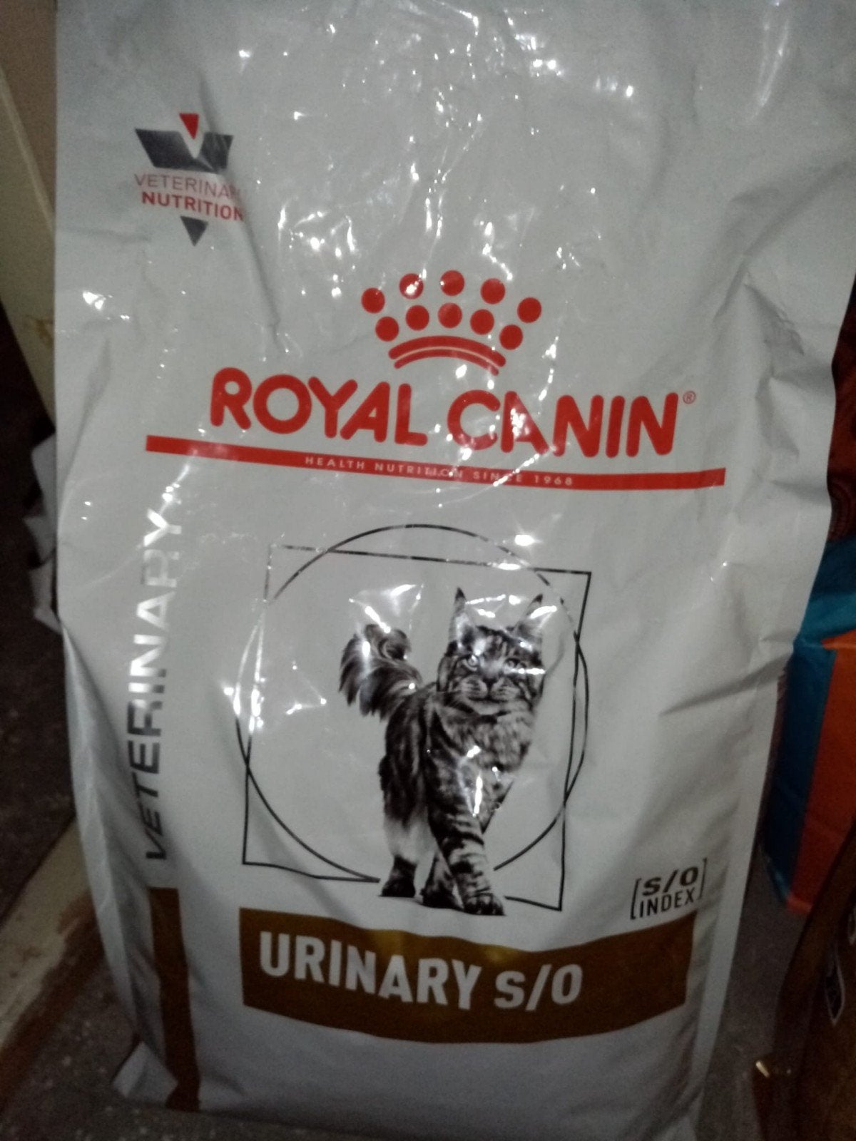 Royal canin dieet voer katten met blaasgruis, Ophalen, Kat