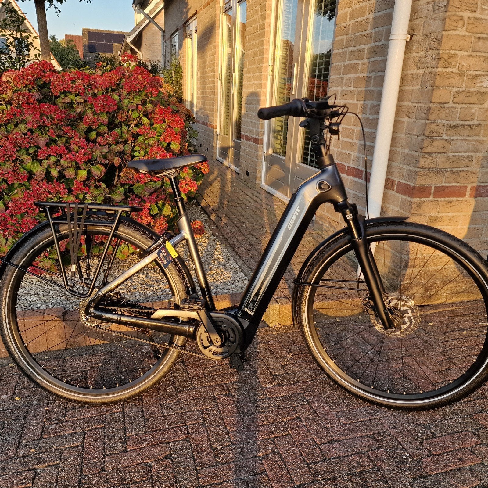 Pracht Giant Anytour E 75Nm middenmotor en belt