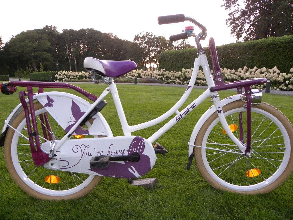 mooie 20'' meisjesfiets, Fietsen en Brommers, Ophalen, Terugtraprem, Gebruikt, Static