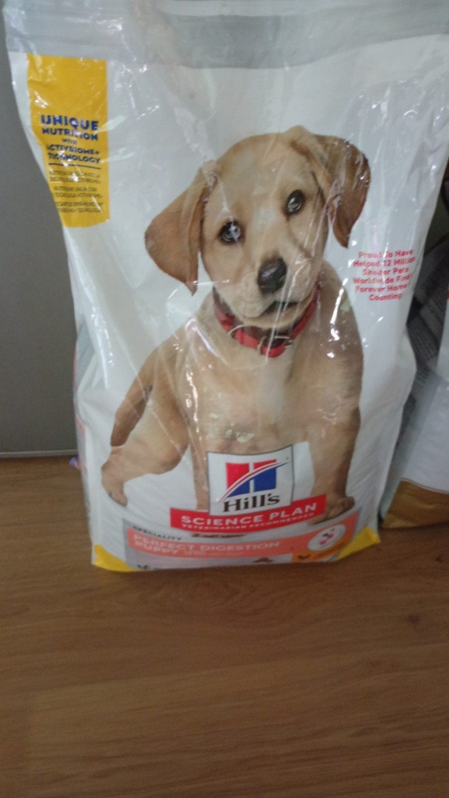puppy brokken, Ophalen, Hond