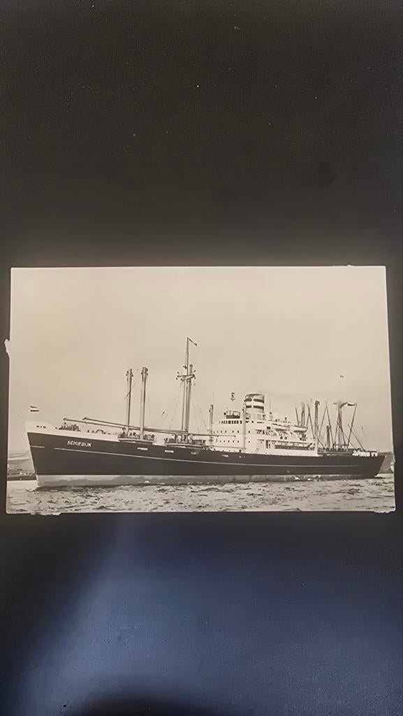 Ansichtkaart MS Schiedijk Holland America Lijn, Ophalen of Verzenden, Kaart, Foto of Prent