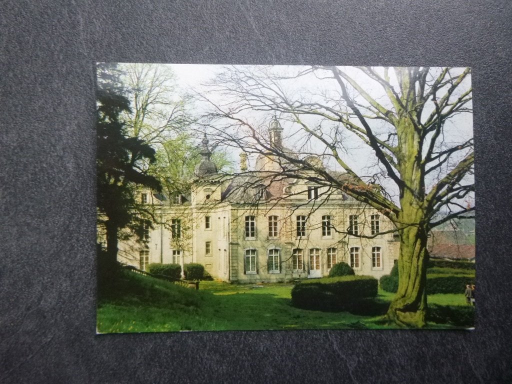 Eys, kasteel Goedenraad 1975, Verzamelen, Ansichtkaarten | Nederland, Verzenden, 1960 tot 1980, Ongelopen, Noord-Brabant