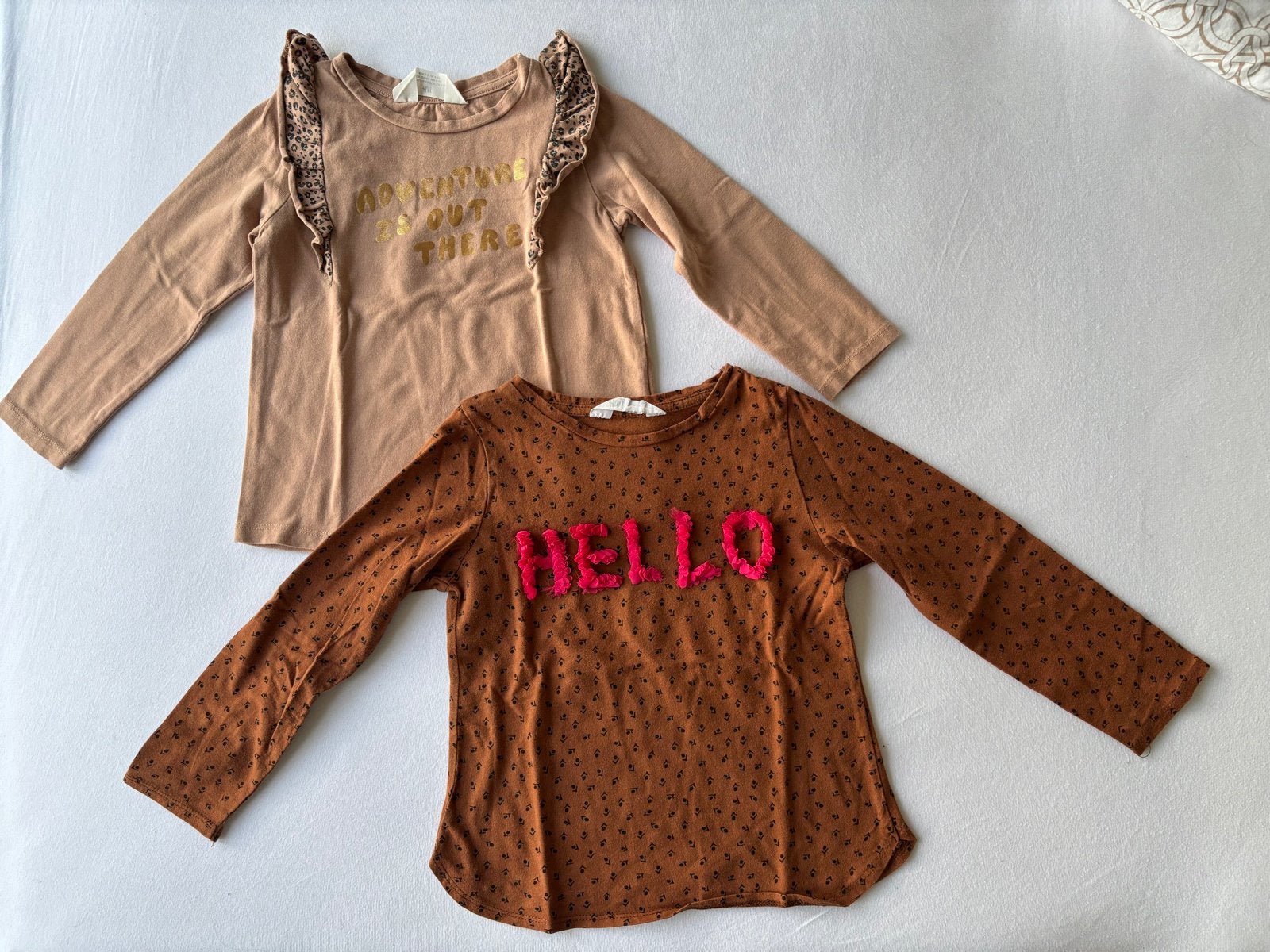 2 H&M longsleeves maat 110/116, Ophalen of Verzenden, Gebruikt, Meisje, Shirt of Longsleeve