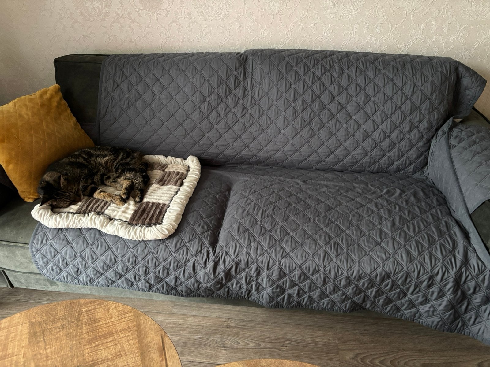 Bankbeschermer kat/ hond, Ophalen of Verzenden, Nieuw